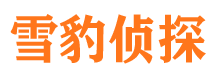 青山区侦探公司